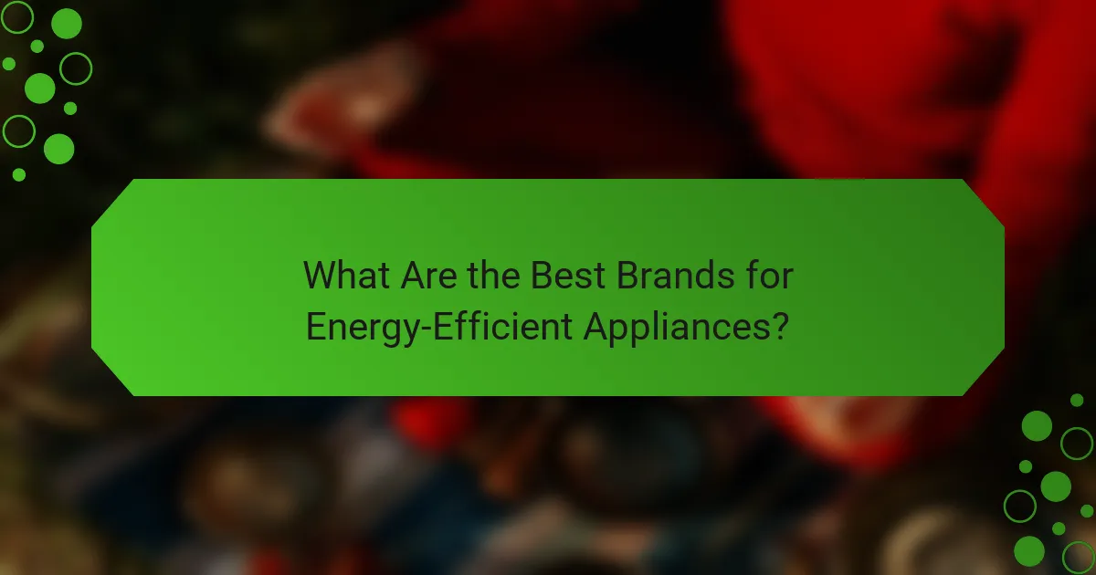 What Are the Best Brands for Energy-Efficient Appliances?