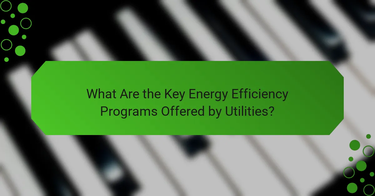 What Are the Key Energy Efficiency Programs Offered by Utilities?