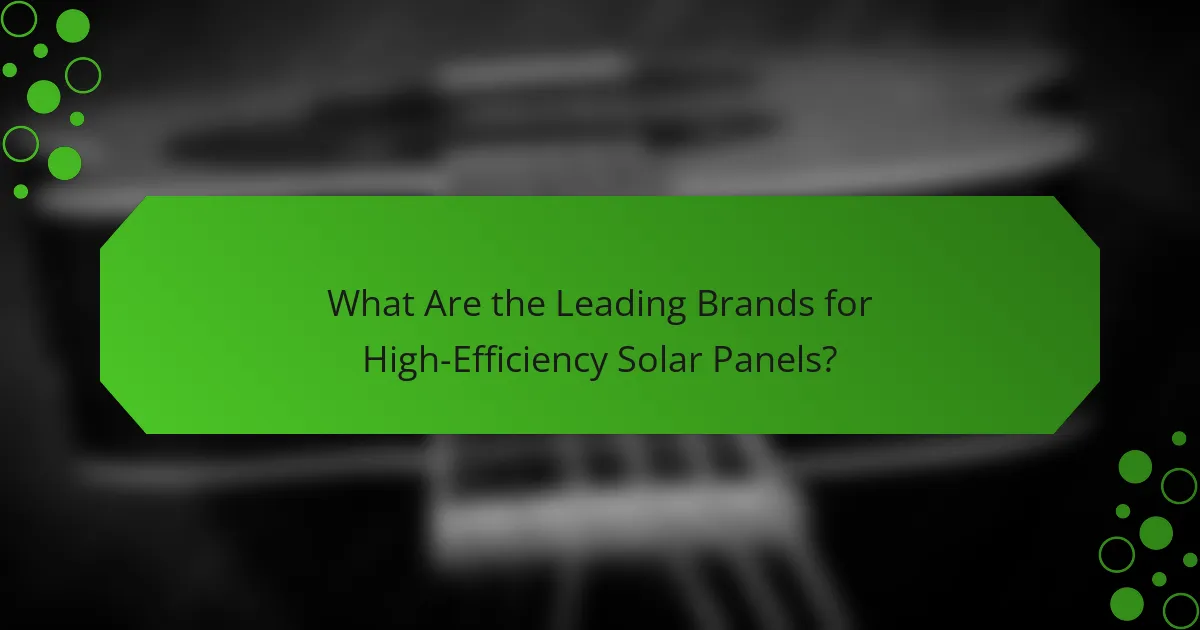 What Are the Leading Brands for High-Efficiency Solar Panels?