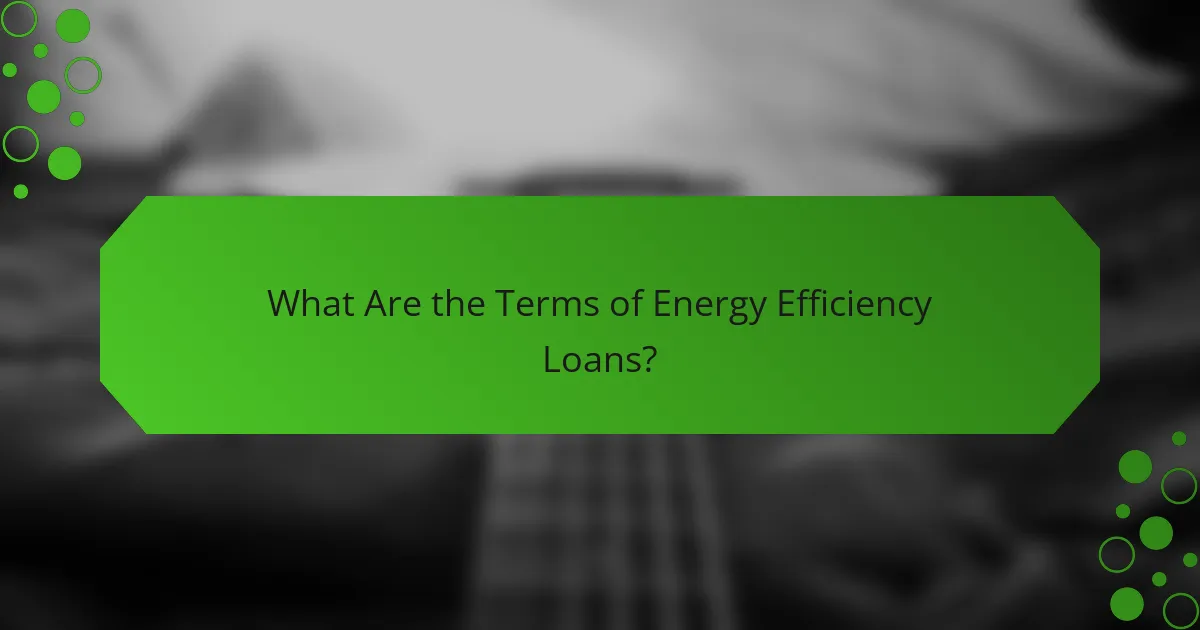 What Are the Terms of Energy Efficiency Loans?